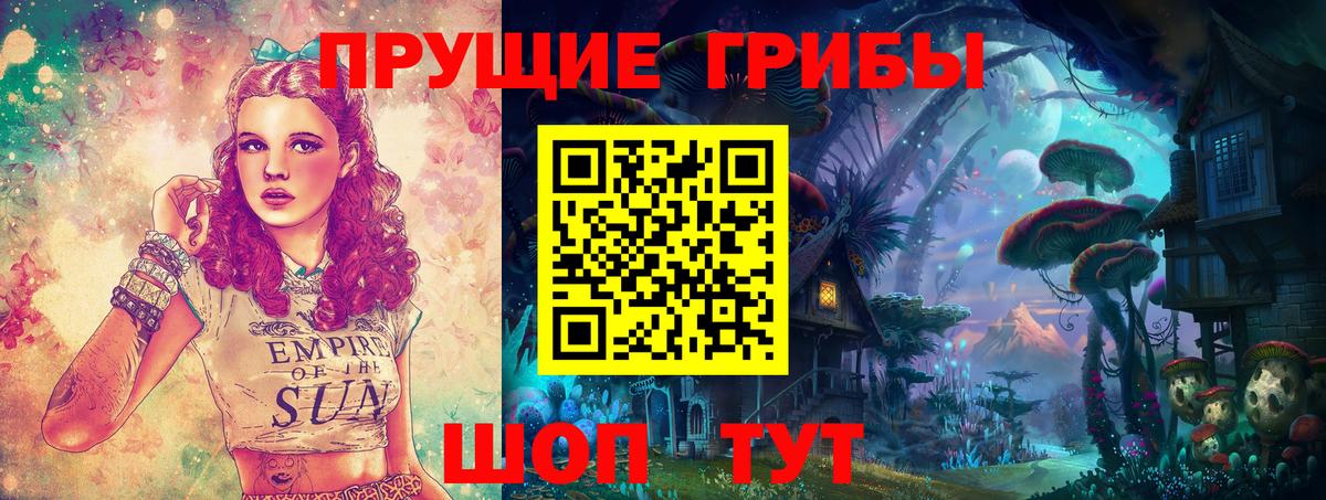 Курчалой  Галлюциногенные грибы Cubensis  Вход с VPN 