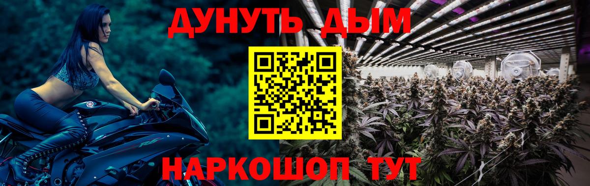 МАРИХУАНА SATIVA & INDICA  Конопля марихуана  Бошки Шишки White Widow  Курчалой  Вход с VPN  Шишки марихуана VHQ 